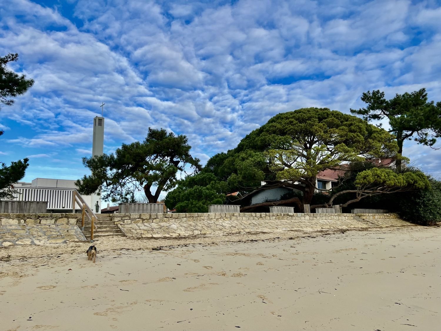 Appartement à vendre, 48m², Lège-Cap-Ferret