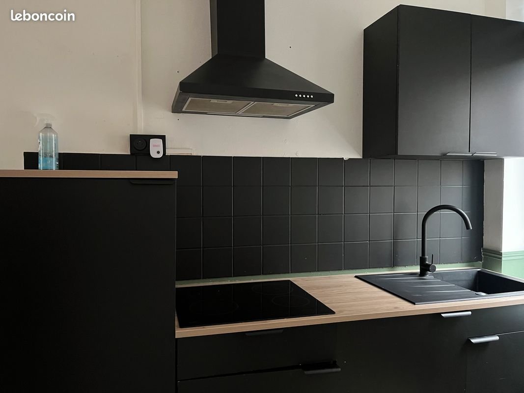 Appartement à louer, 50m², Roubaix