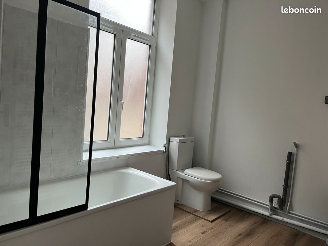 Appartement à louer, 50m², Roubaix