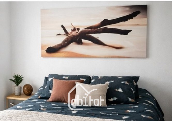 Appartement à louer, 46m², Dunkerque