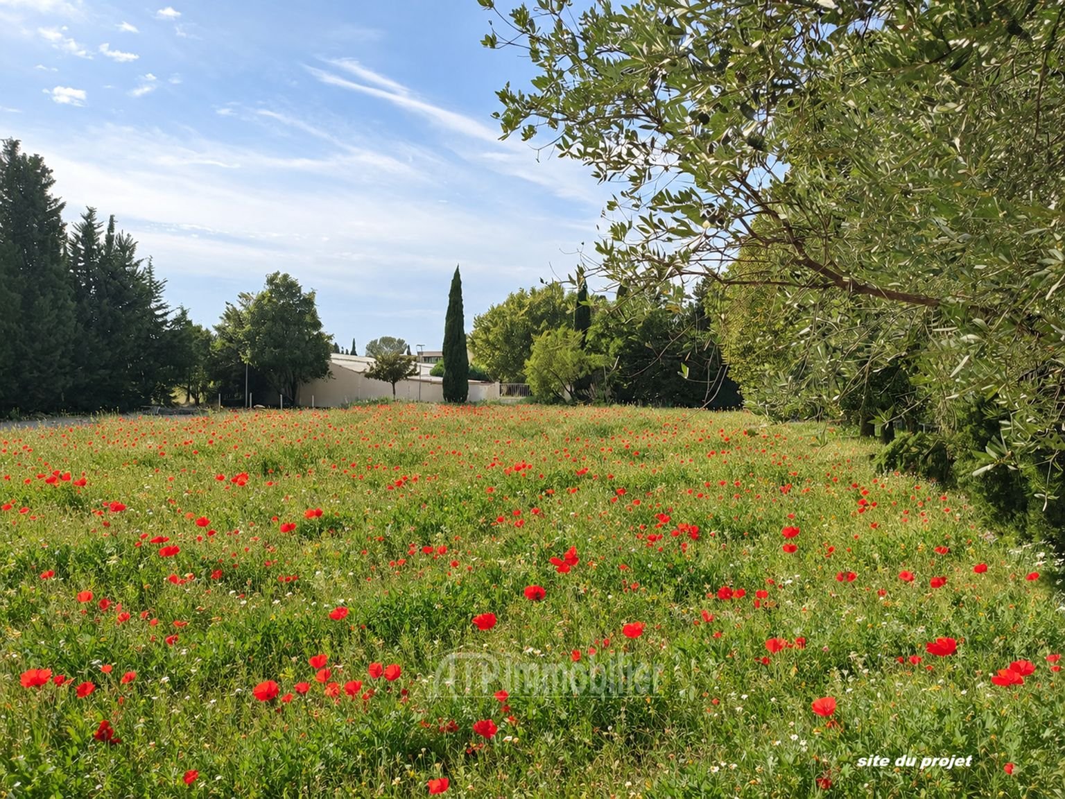 Appartement à vendre, 19m², Avignon