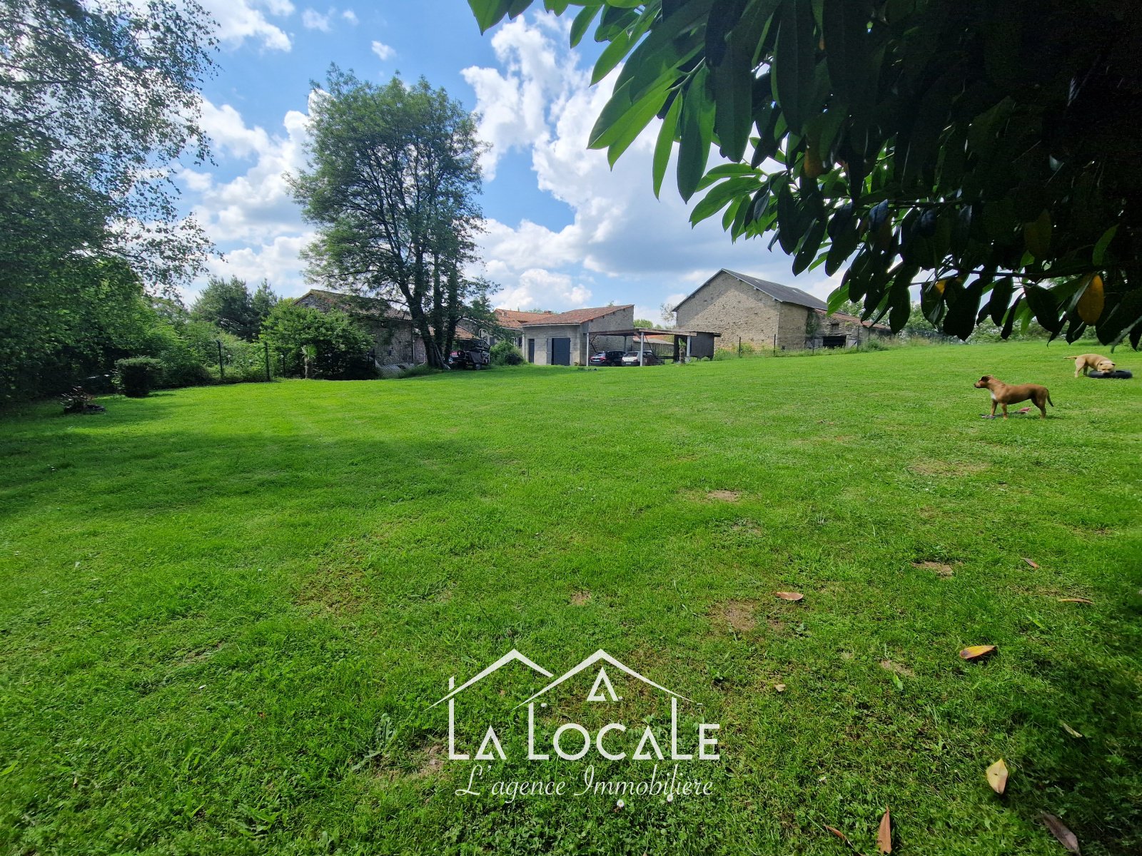 Maison à vendre, 180m², Saint-Pardoux-le-Lac