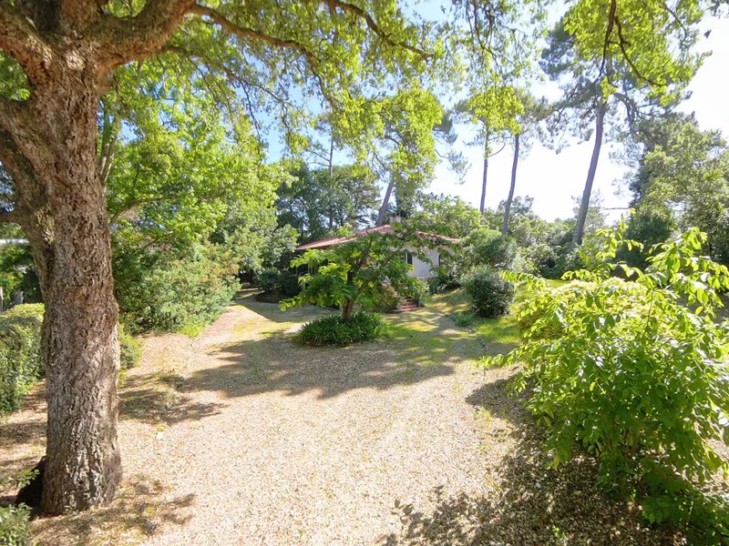 Maison à vendre, 155m², Soorts-Hossegor