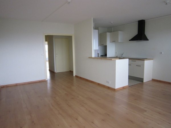 Appartement à louer, 52m², Pau