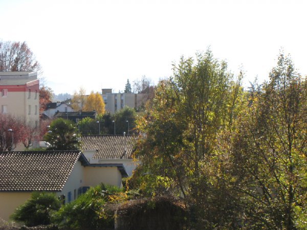 Appartement à louer, 65m², Pau