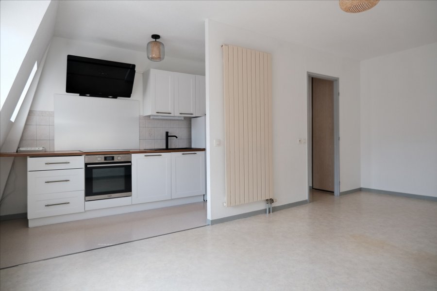 Appartement à louer, 40m², Mulhouse