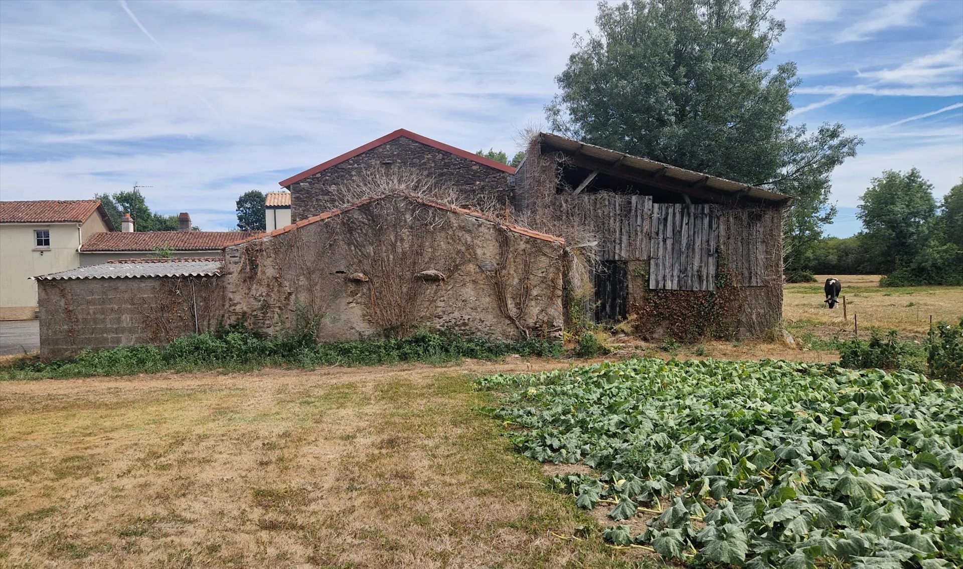Maison à vendre, 225m², Le Loroux-Bottereau