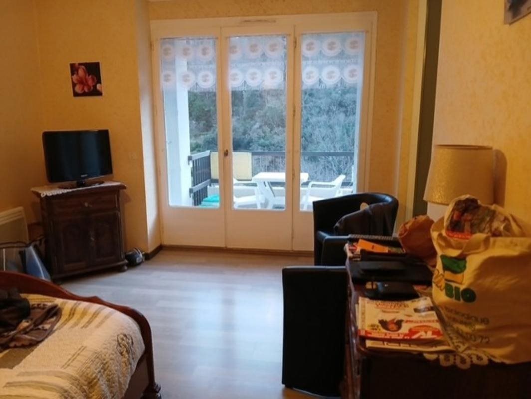 Appartement à vendre, 26m², Amélie-les-Bains-Palalda