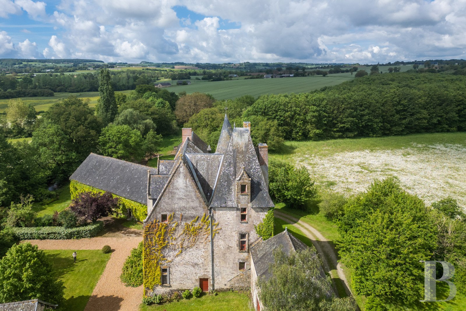 Maison à vendre, 460m², Sillé-le-Guillaume