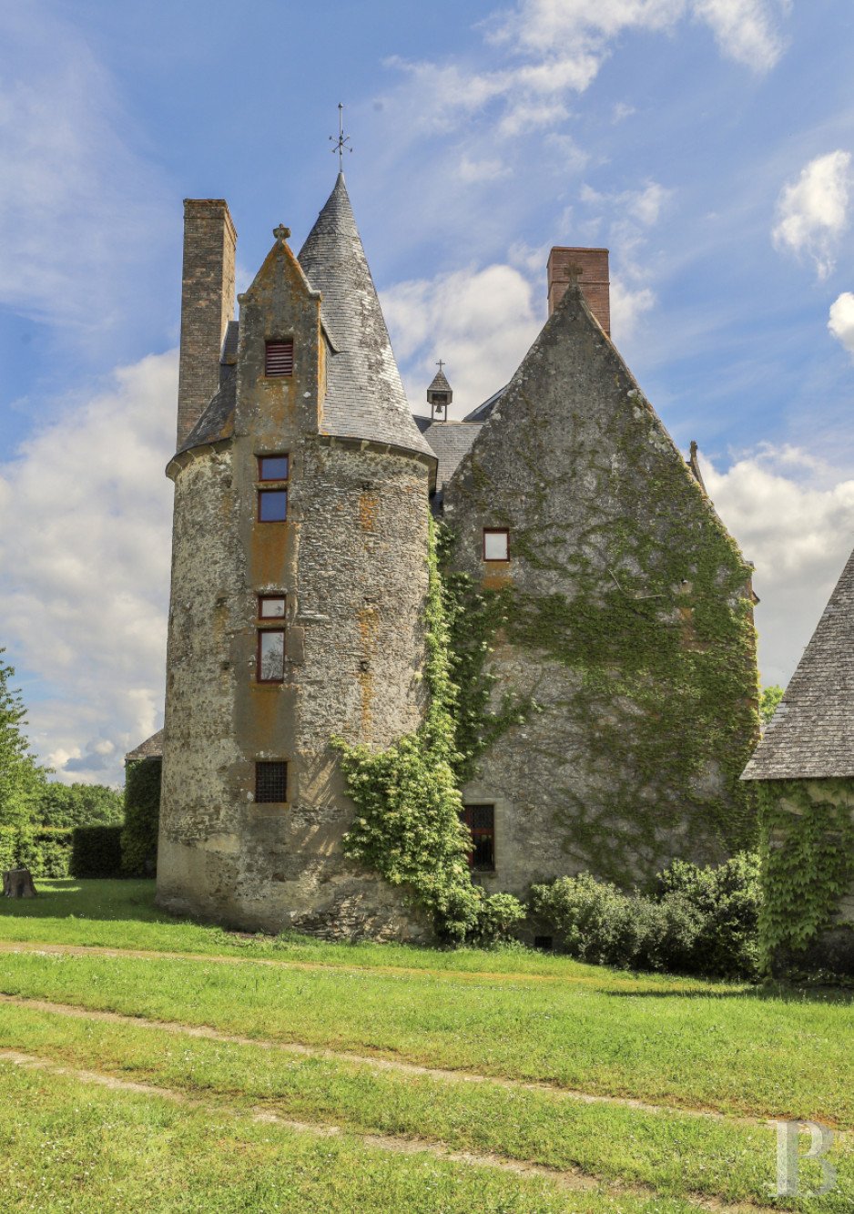 Maison à vendre, 460m², Sillé-le-Guillaume
