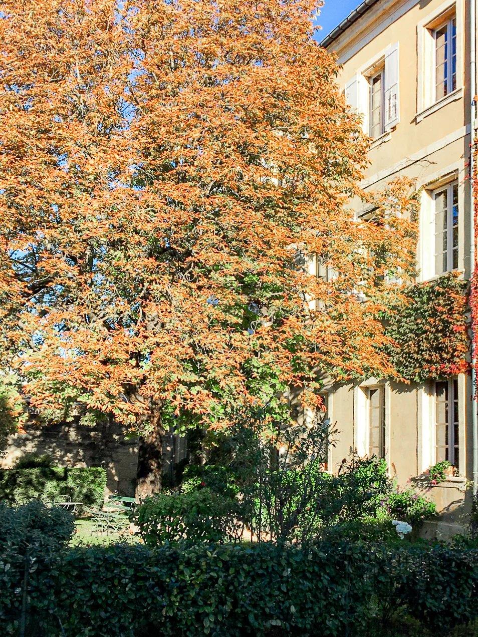 Maison à vendre, 667m², Uzès
