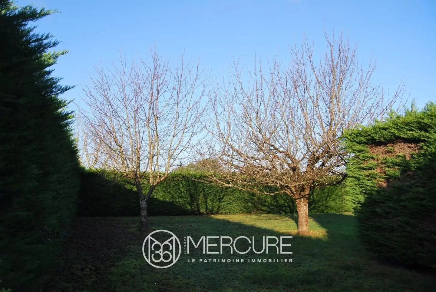 Maison à vendre, 140m², Lussac-les-Châteaux