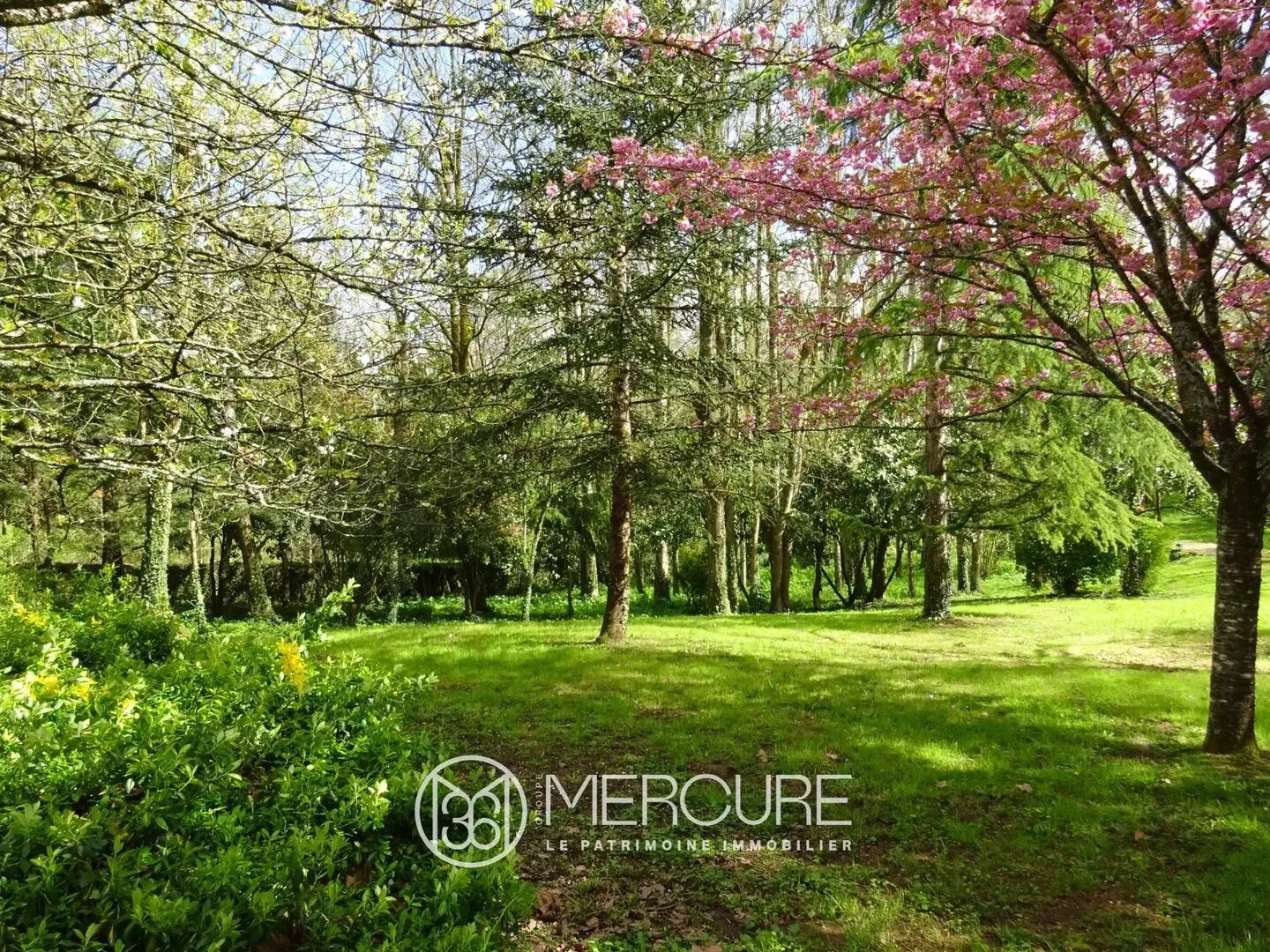 Maison à vendre, 400m², Celles-sur-Belle