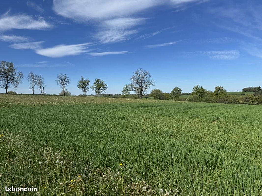 Maison à vendre, 210m², Rieupeyroux