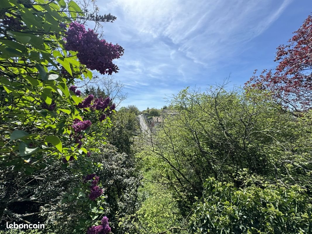 Maison à vendre, 333m², Ruffec