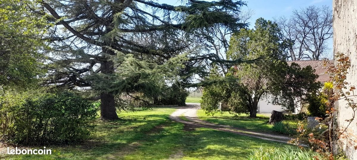 Maison à vendre, 291m², Villeneuve-sur-Lot