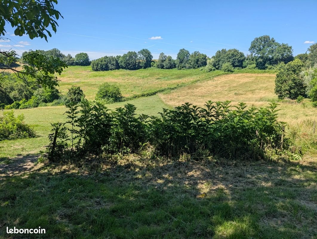 Maison à vendre, 380m², Agen