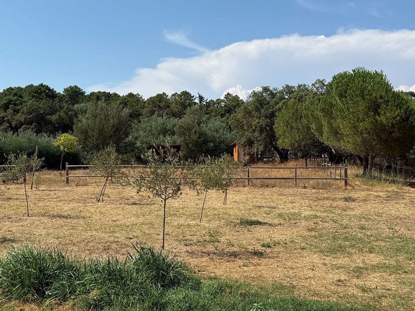 Maison à vendre, 150m², Roquebrune-sur-Argens