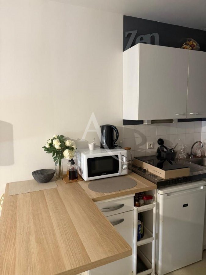 Appartement à louer, 25m², Cholet
