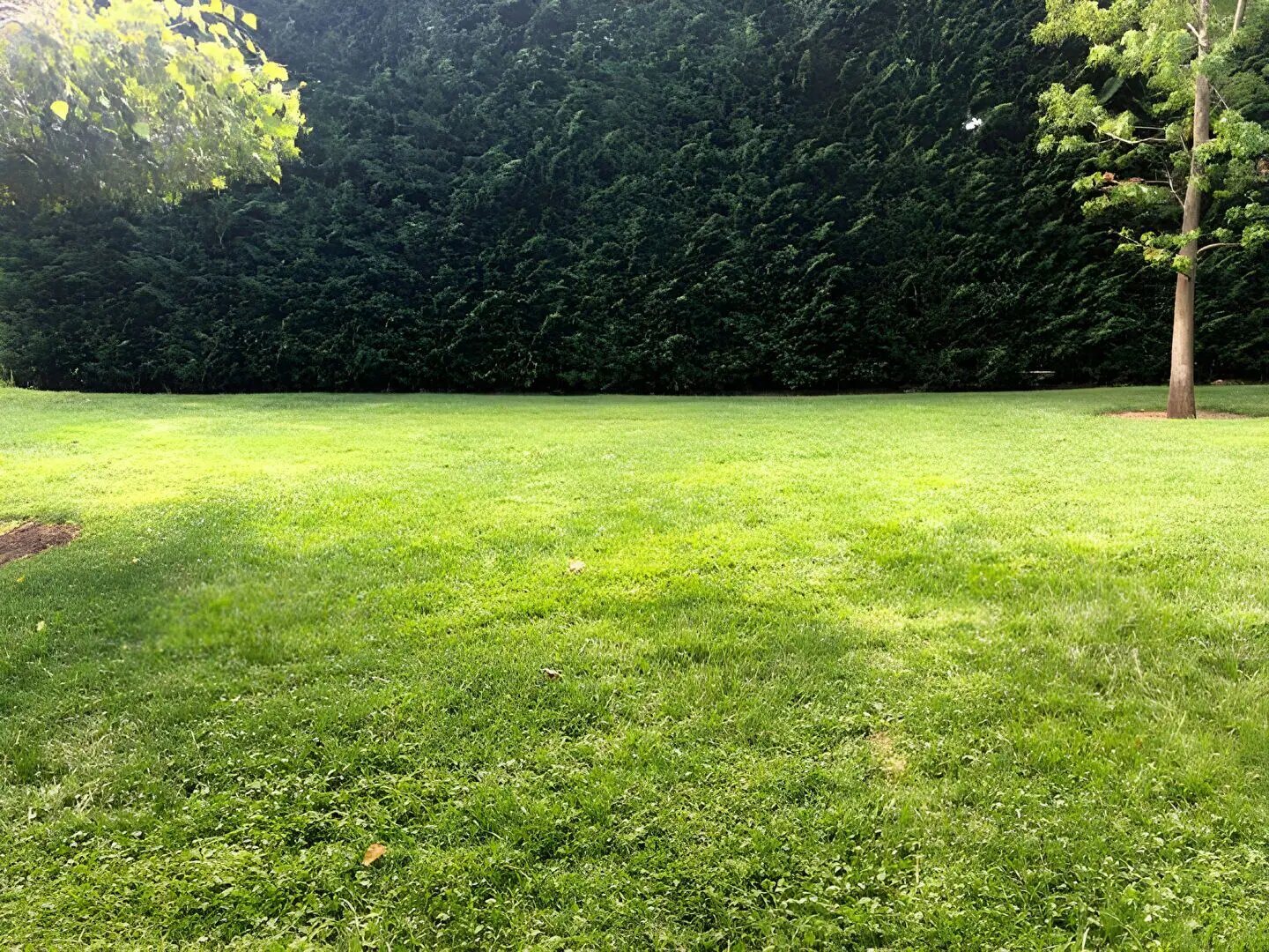 Maison à vendre, 100m², Bruges