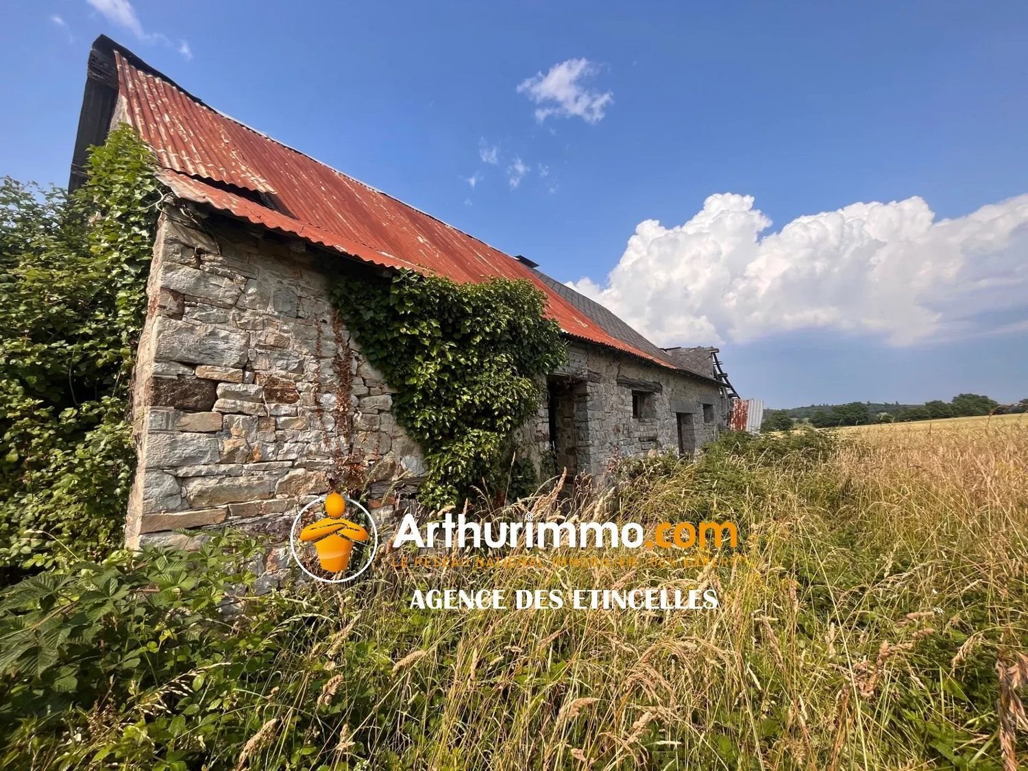 Maison à vendre, 200m², Thourie
