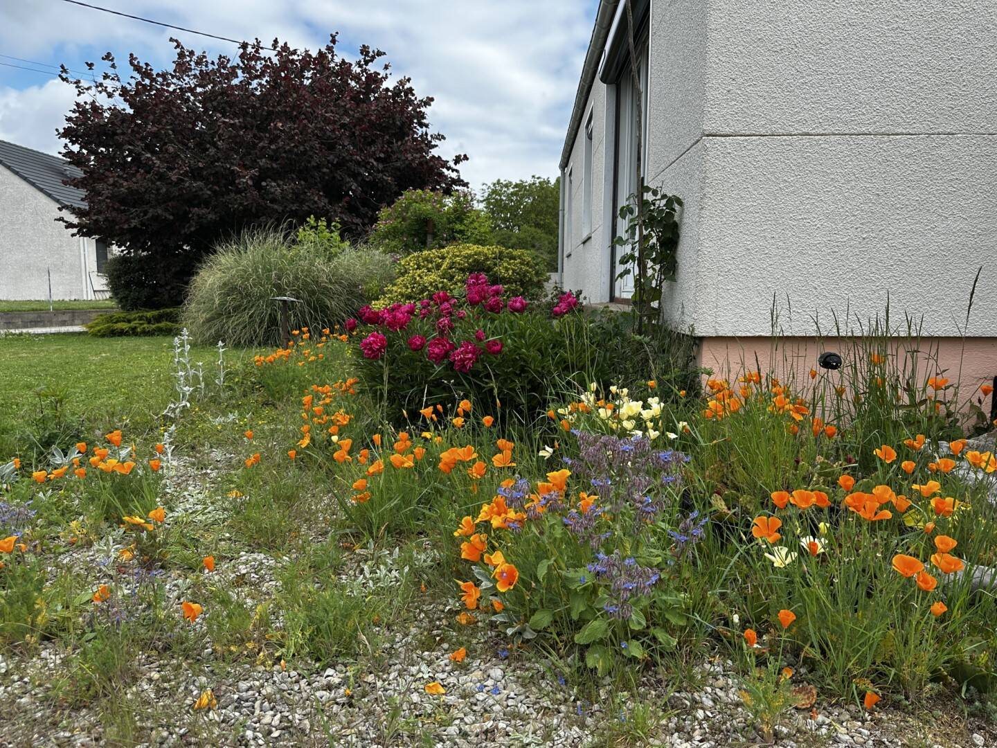 Maison à vendre, 84m², Brazey-en-Plaine