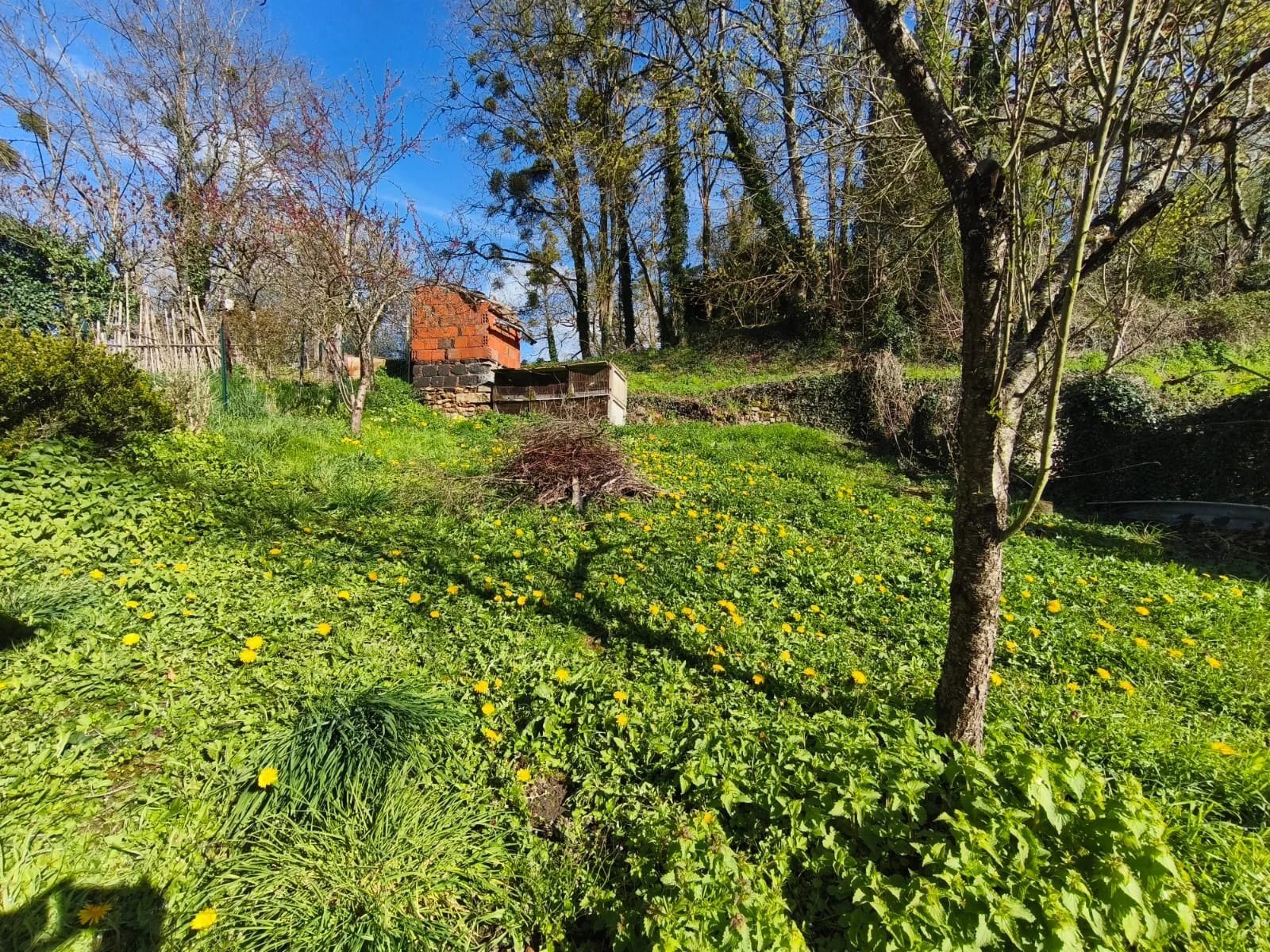 Maison à vendre, 110m², Moulins-Engilbert