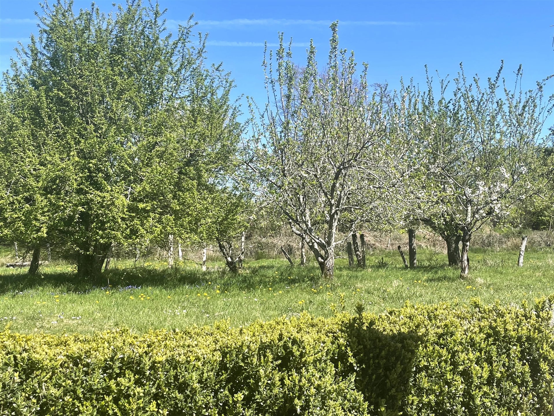Maison à vendre, 220m², Saint-Léger-de-Fougeret
