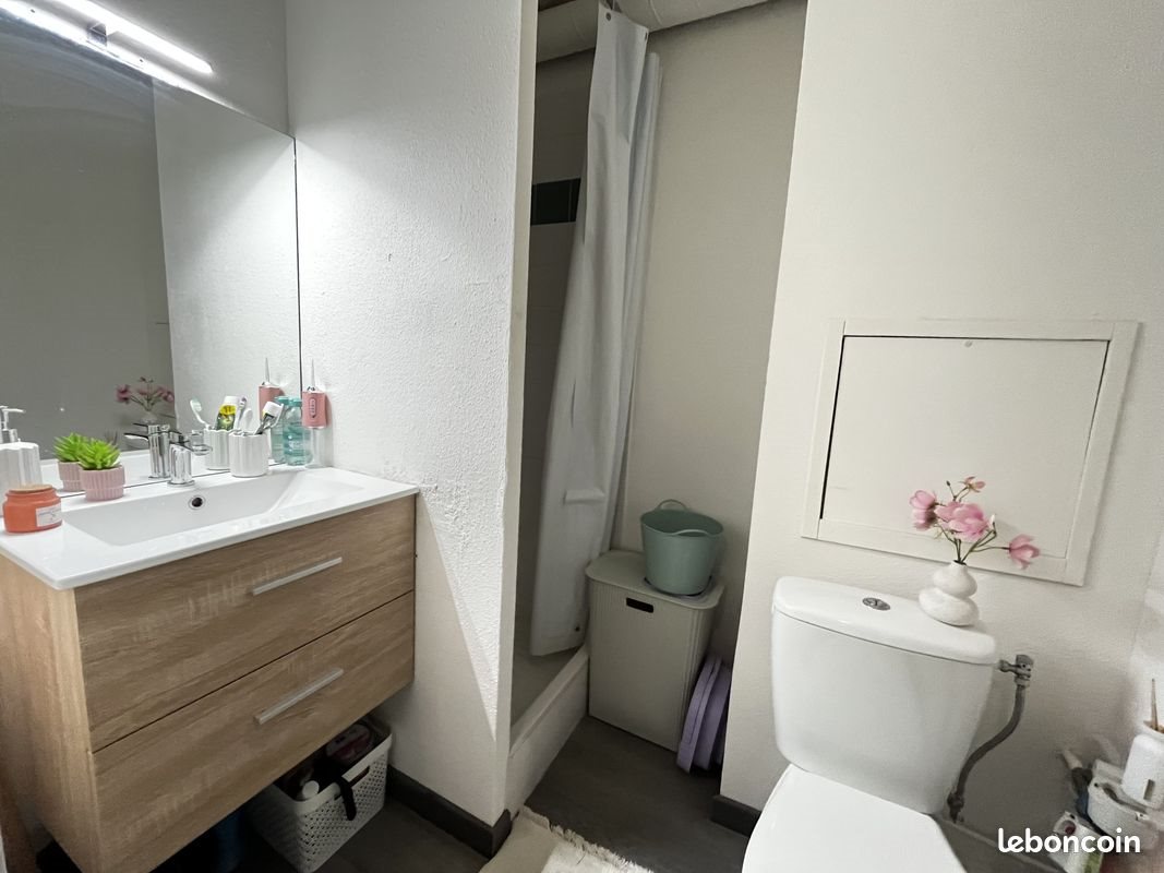 Appartement à vendre, 18m², Grenoble