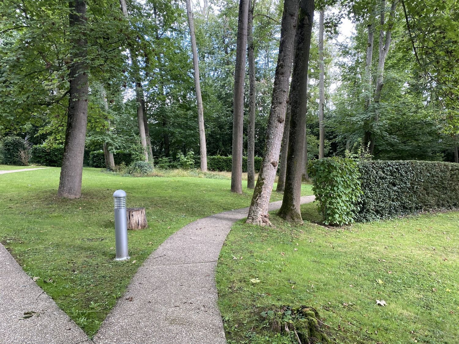 Appartement à vendre, 16m², L'Étang-la-Ville