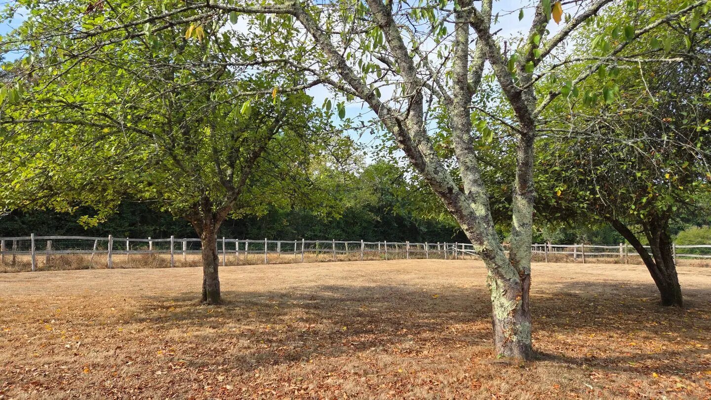 Maison à vendre, 250m², Vigneux-de-Bretagne