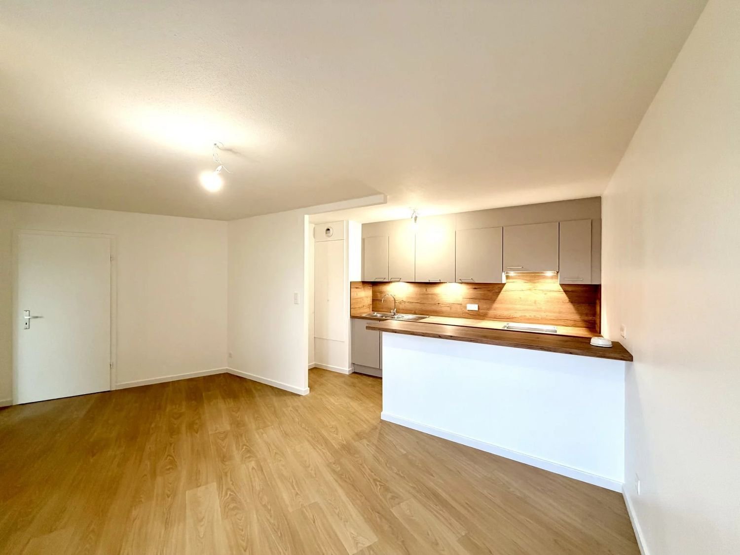 Appartement à louer, 48m², Strasbourg