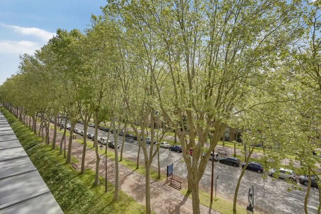 Appartement à louer, 100m², Versailles