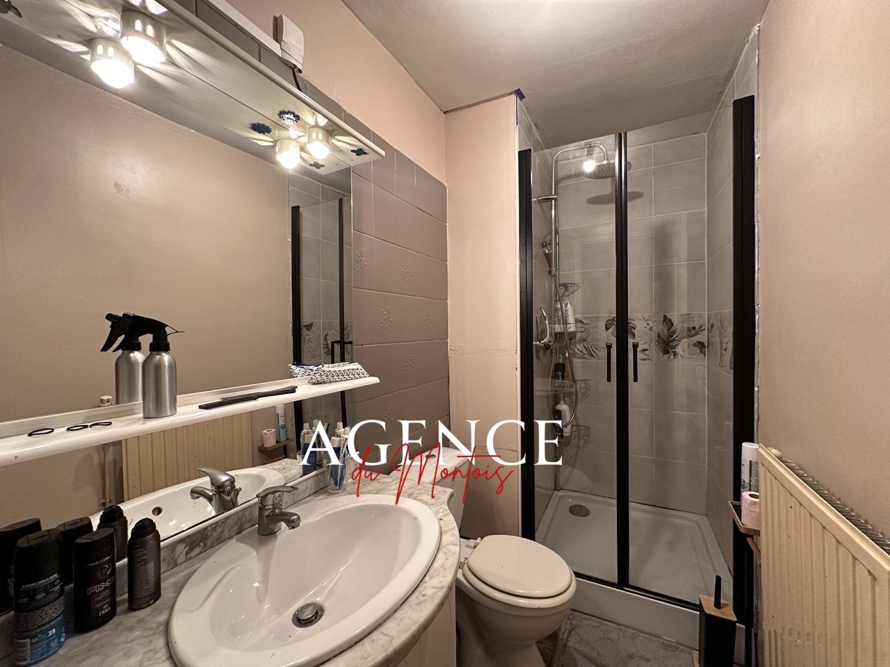 Maison à vendre, 151m², Bray-sur-Seine