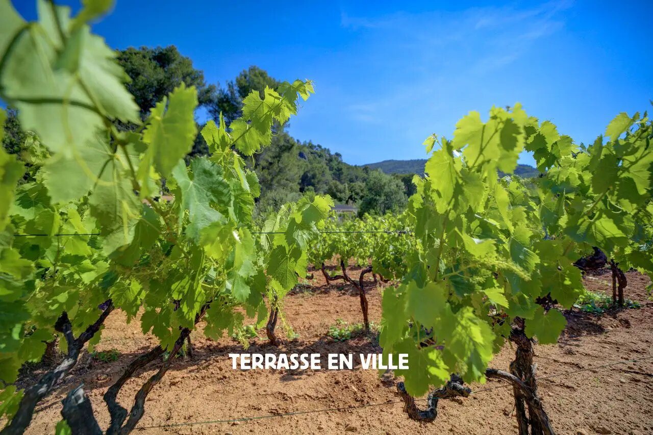 Maison à vendre, 180m², Signes