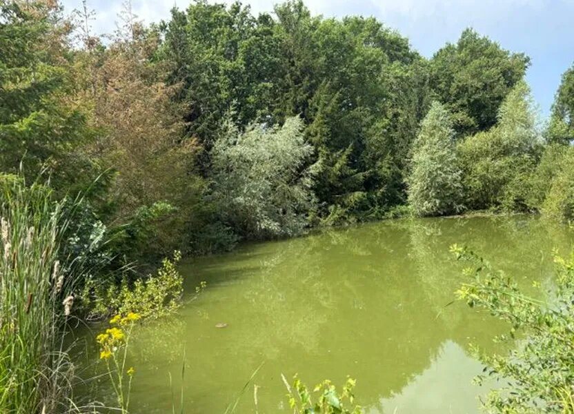 Maison à vendre, 125m², Gy-en-Sologne