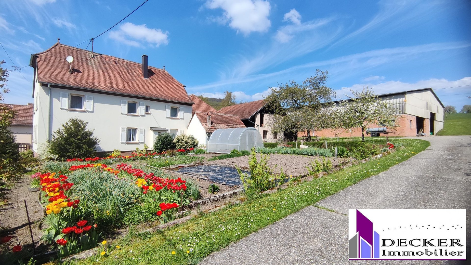 Maison à vendre, 162m², Zinswiller