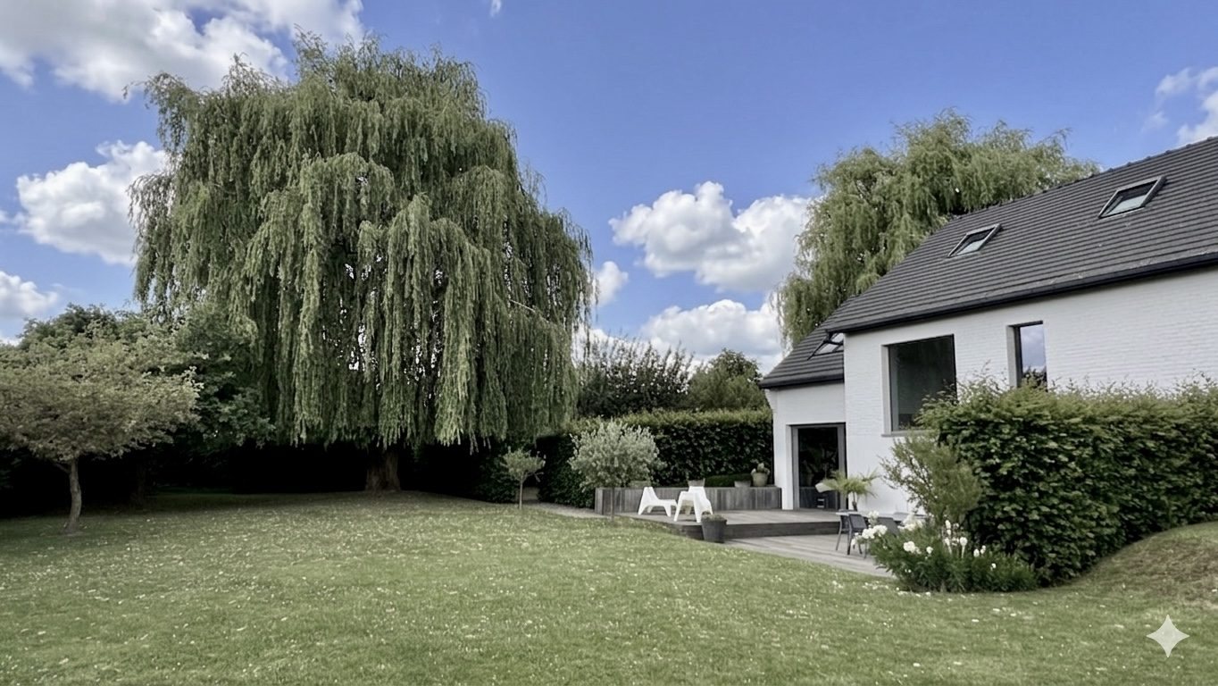 Maison à vendre, 280m², Fretin