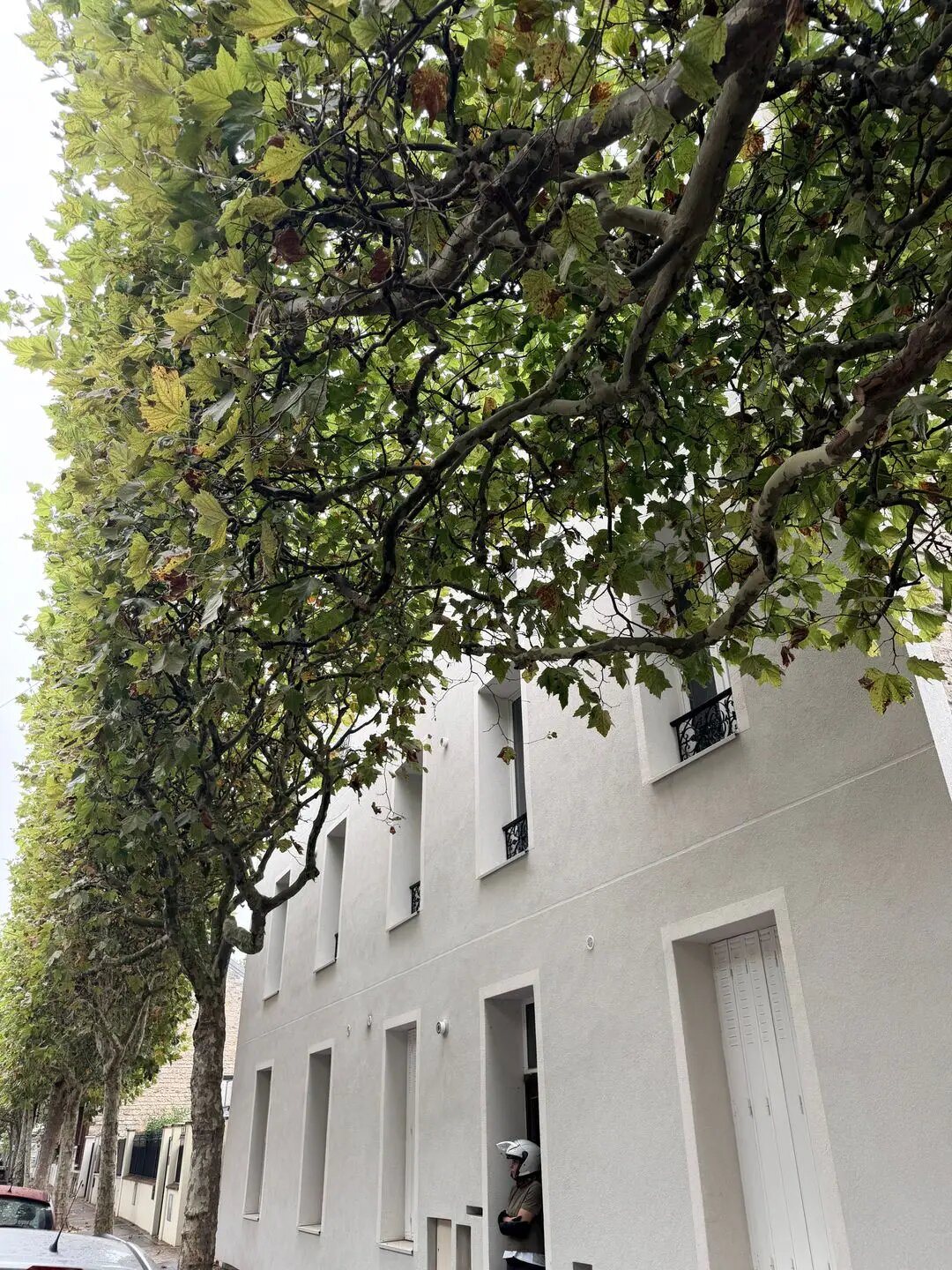 Appartement à louer, 49m², La Garenne-Colombes