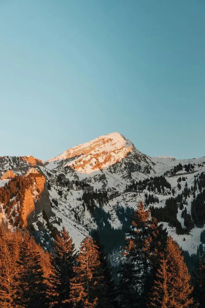 Appartement à vendre, 53m², Morzine (Avoriaz)