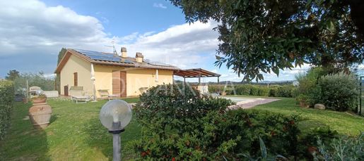 Palaia (Pisa) photo 2