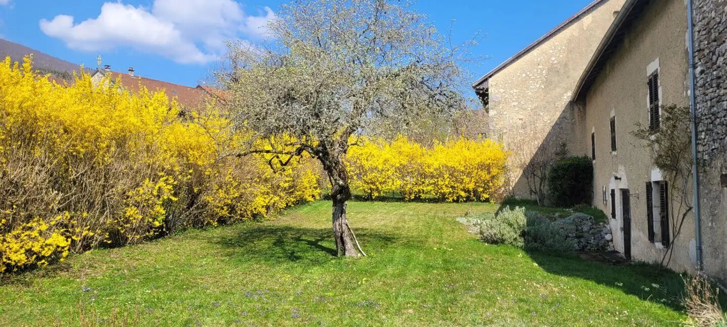 Maison à vendre, 255m², Injoux-Génissiat