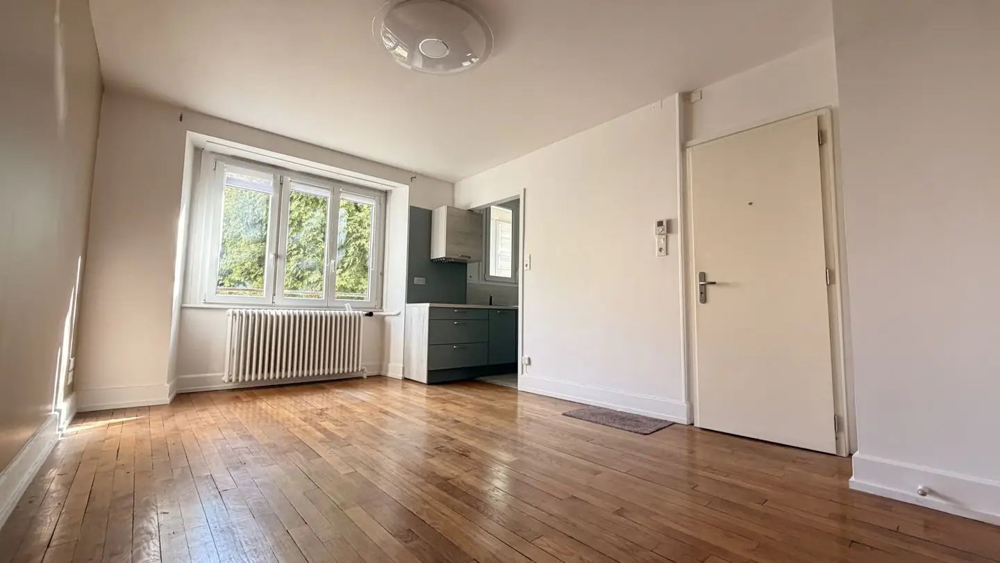 Appartement à louer, 38m², Belfort