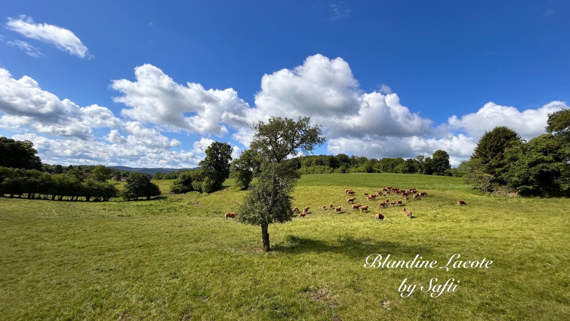 Maison à vendre, 95m², Saint-Dizier-Masbaraud