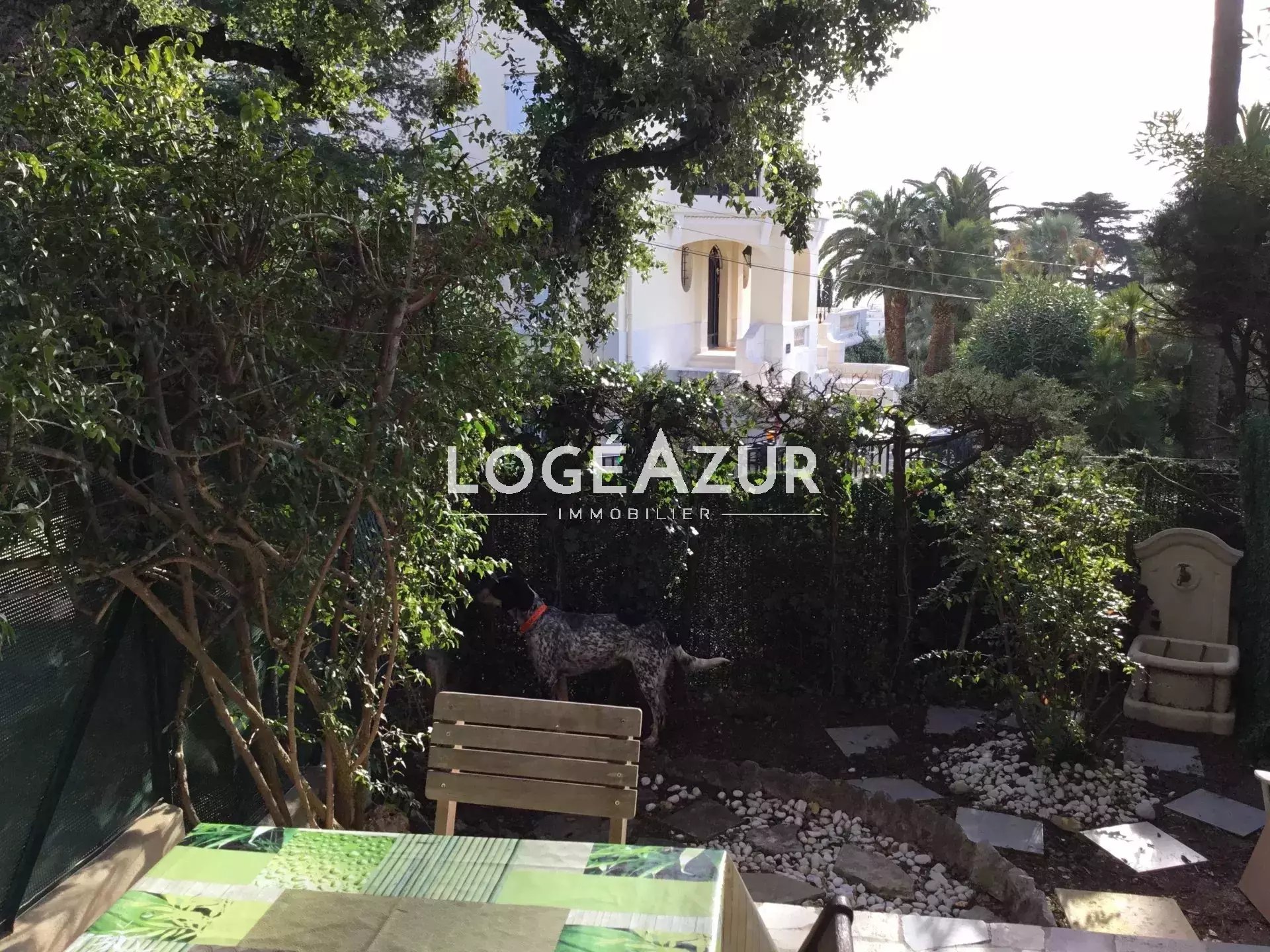 Appartement à louer, 35m², Cannes