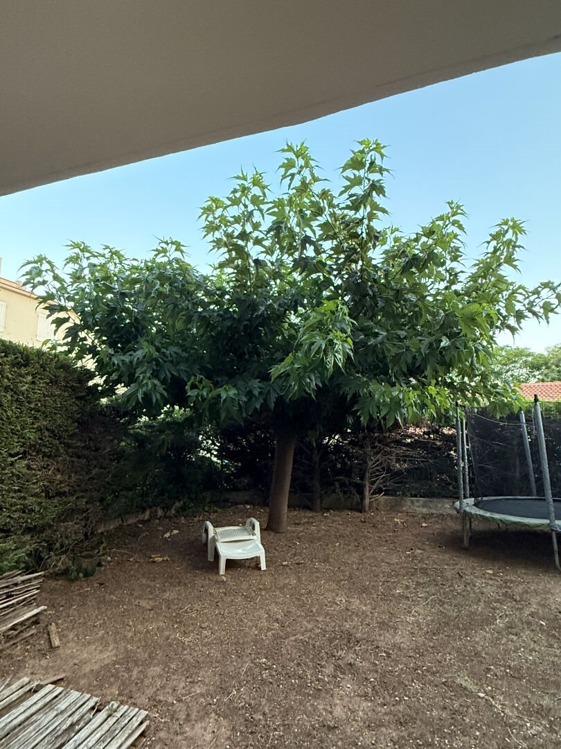 Appartement à louer, 52m², Carqueiranne