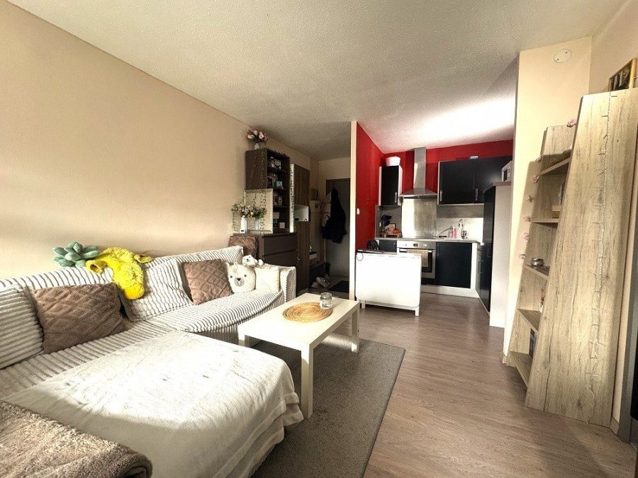 Appartement à louer, 30m², Nancy