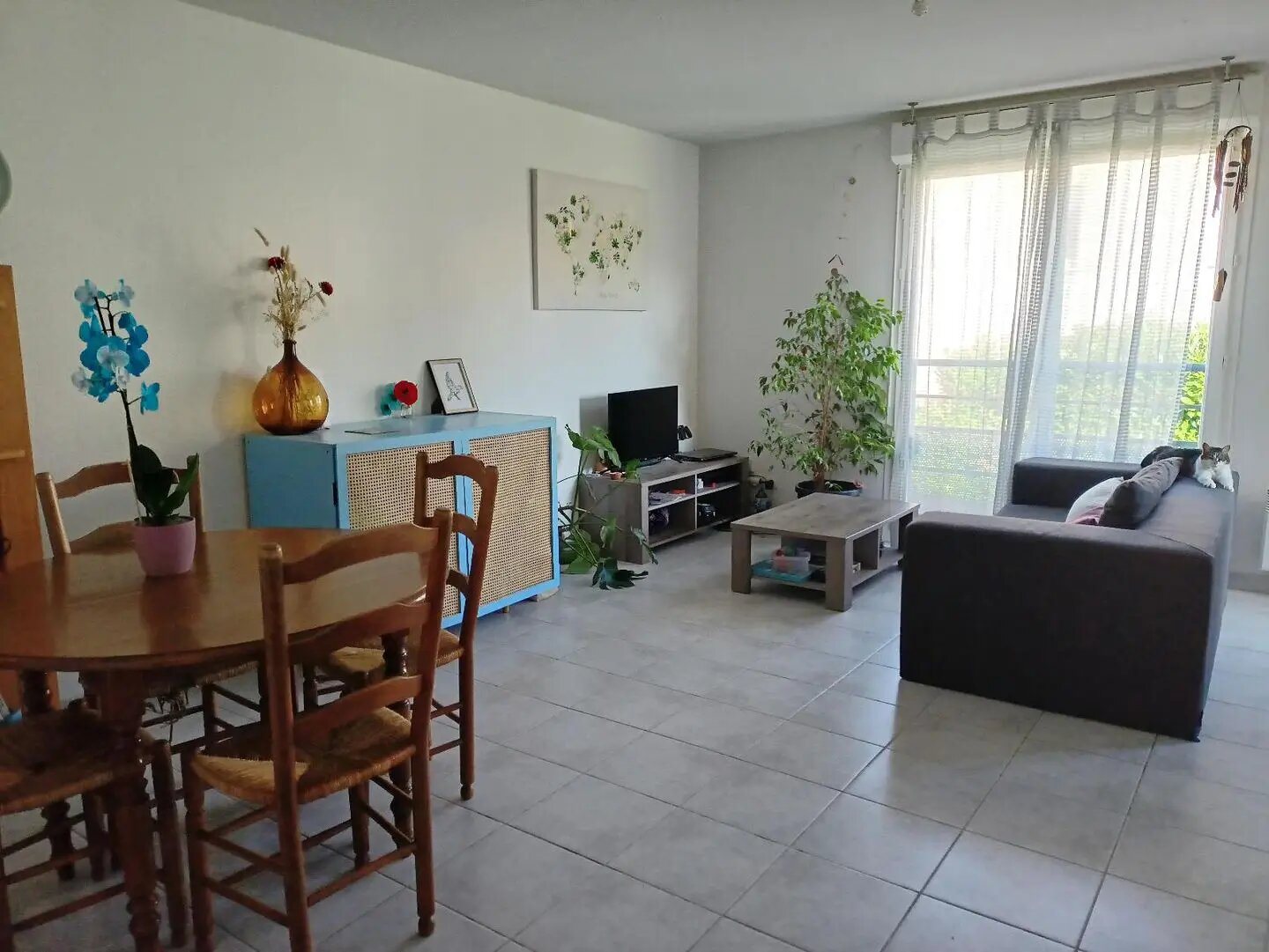 Appartement à louer, 55m², Saint-Paul-sur-Save