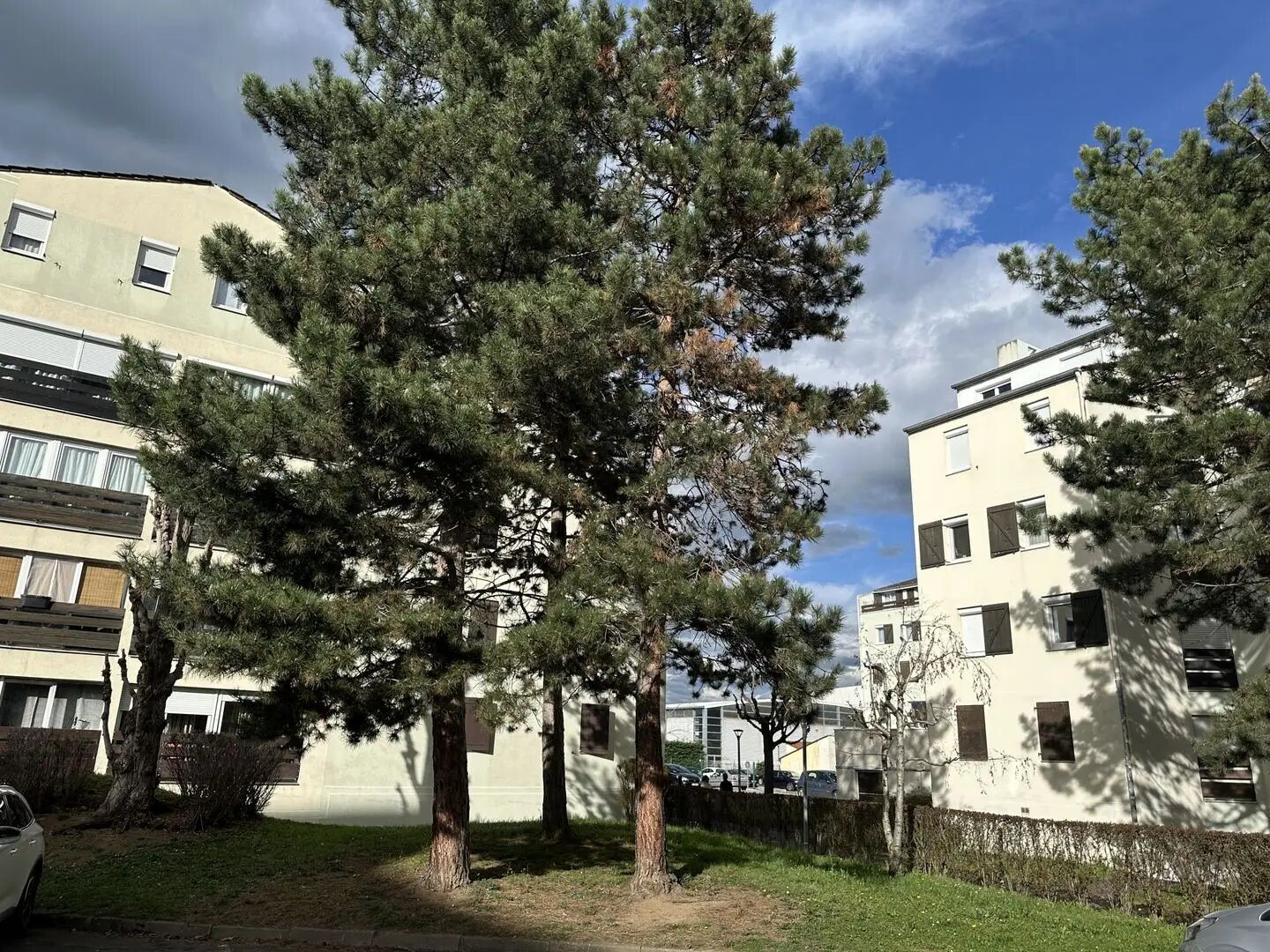 Appartement à vendre, 116m², Andrézieux-Bouthéon