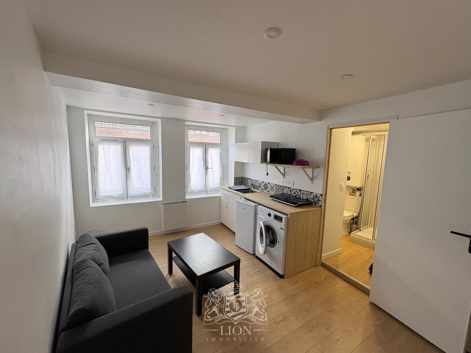 Appartement à vendre, 18m², Lille